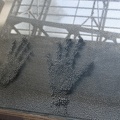 319-9384 Exploratorium - Mimi's hands